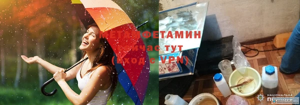 трава Аркадак