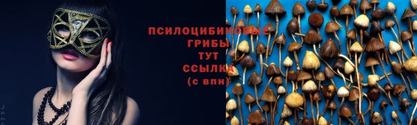 а пвп мука Арсеньев