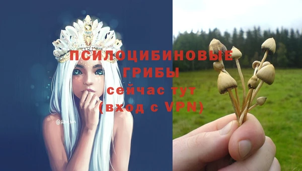 трава Аркадак
