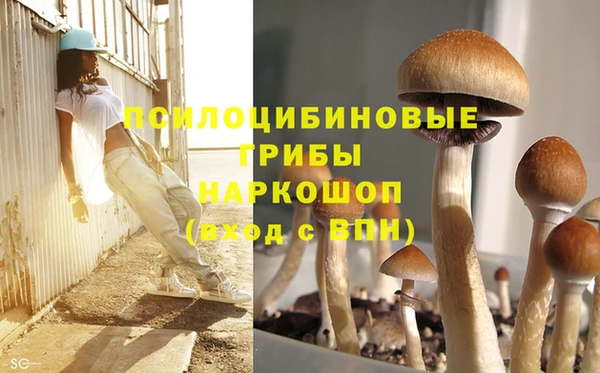 трава Аркадак