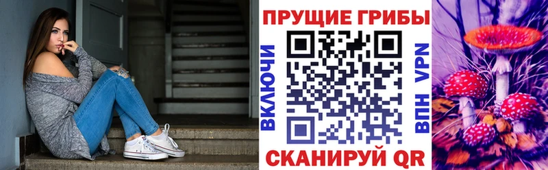 Купить где  Муравленко  Галлюциногенные грибы Cubensis 