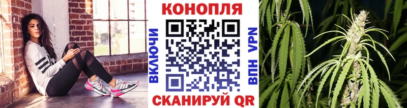 Купить закладки  Муравленко  Канабис OG Kush 